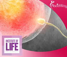 Slider image (3) Institute of Life